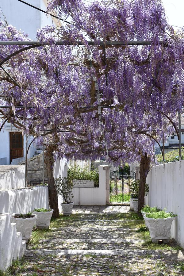 Villa Giovanna Kassiopi Exterior photo